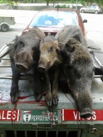 /album/fotogaleria/img-20130901-wa0002-jpg/