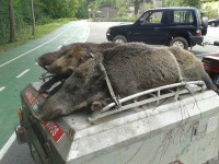 /album/fotogaleria/img-20130901-wa0004-jpg/